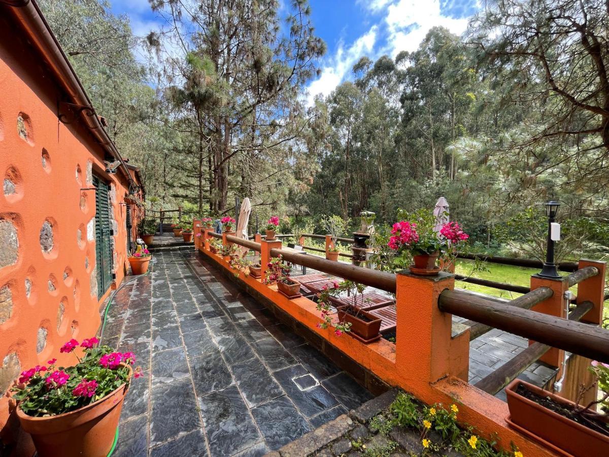 Casa Rural En Medio Del Bosque, El Lance Firgas Exterior foto