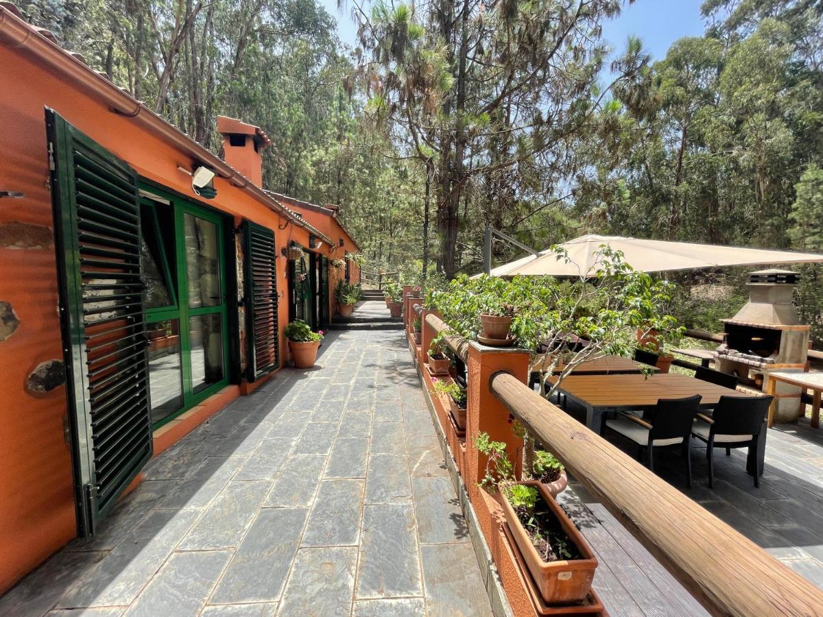 Casa Rural En Medio Del Bosque, El Lance Firgas Exterior foto