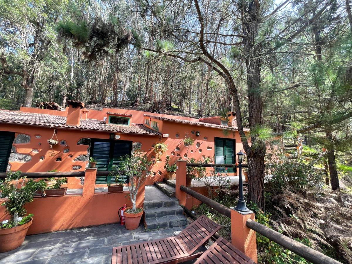 Casa Rural En Medio Del Bosque, El Lance Firgas Exterior foto