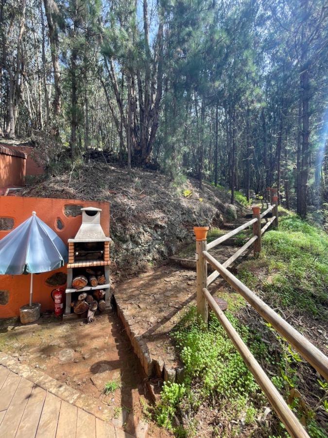 Casa Rural En Medio Del Bosque, El Lance Firgas Exterior foto