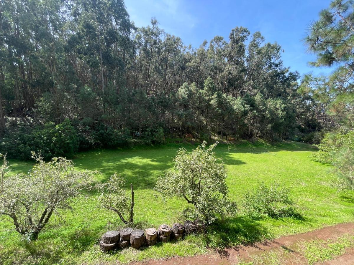 Casa Rural En Medio Del Bosque, El Lance Firgas Exterior foto
